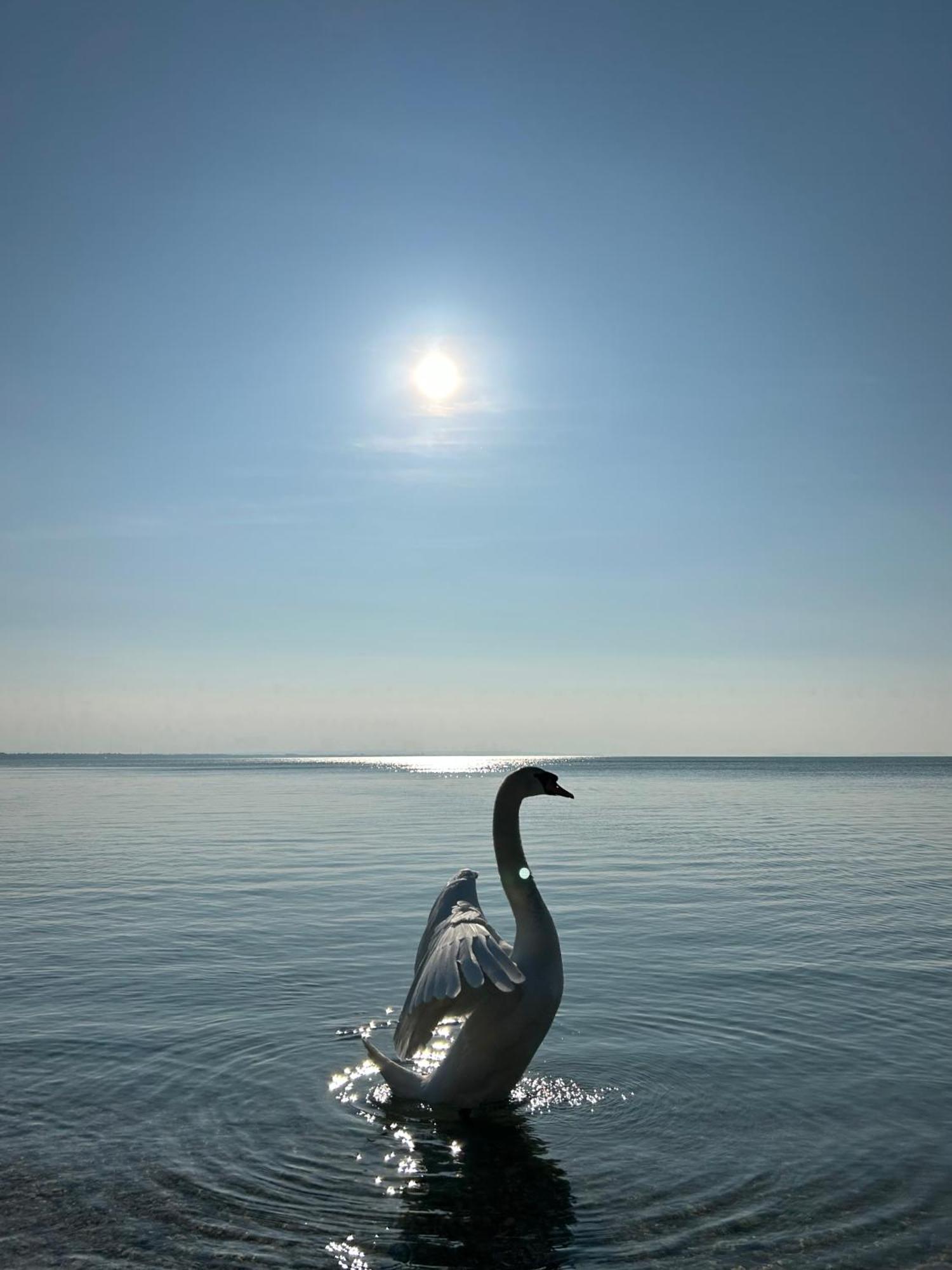 Panoramic Apartments Balatonvilágos 외부 사진